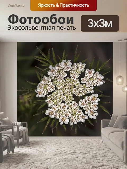 Фотообои Цветы
