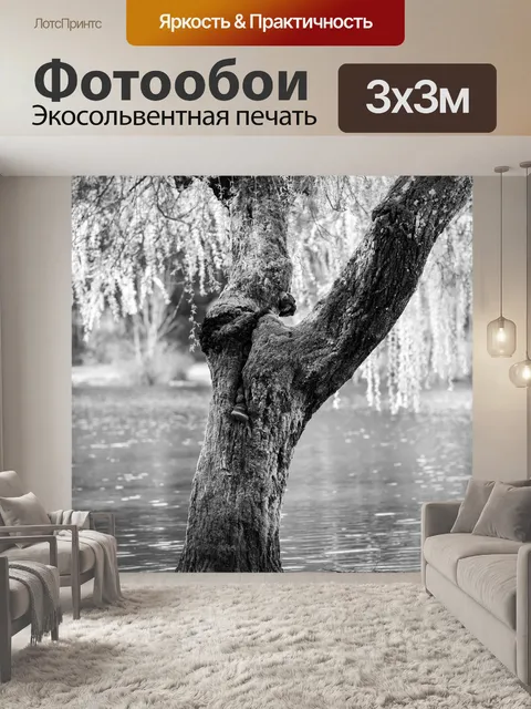 Фотообои Черное и белое