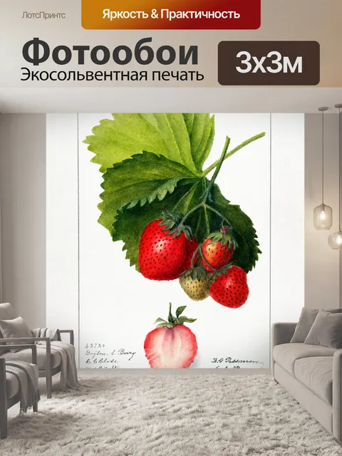 Фотообои Фруктовое винтажное искусство