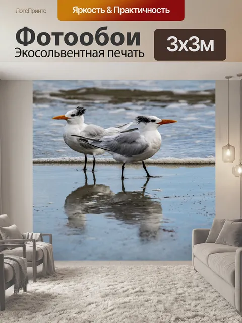 Фотообои Крачки Береговые Птицы