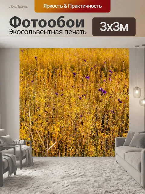 Фотообои Трава цветочное поле, полевые цветы