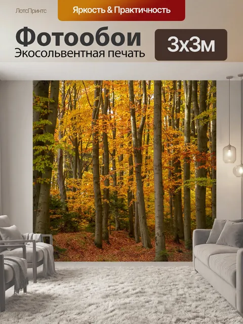Фотообои Осенний лес