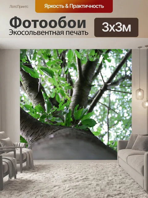 Фотообои Дерево