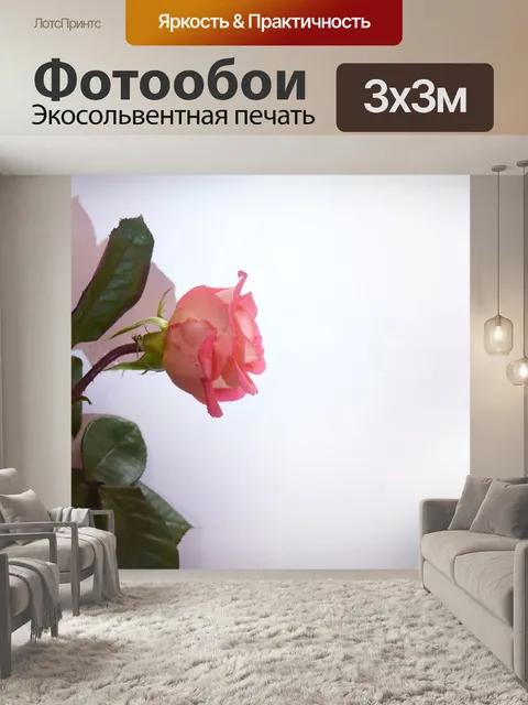 Фотообои Роза в позе 22