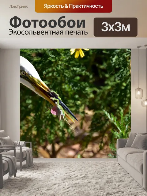Фотообои снежная цапля ест ящерицу