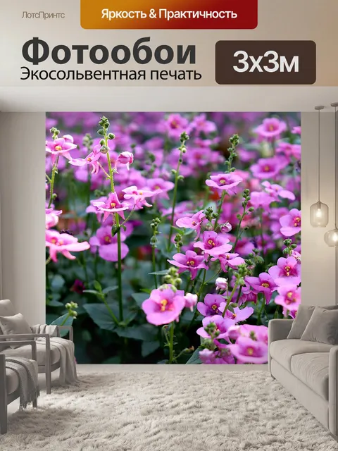 Фотообои Цветы