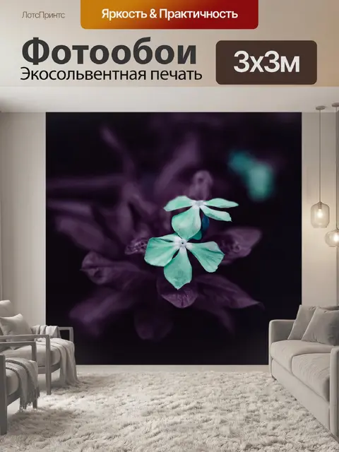 Фотообои Цветы