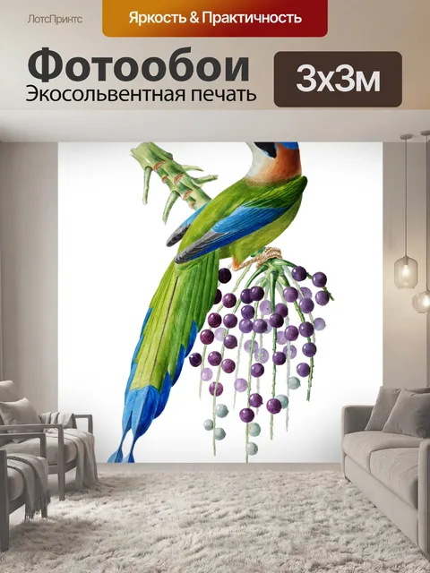 Фотообои Винтажное искусство Андской птицы Мотмот