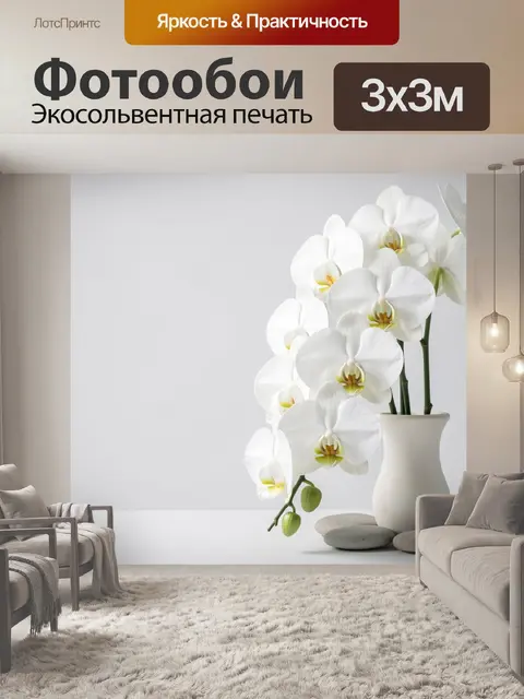 Фотообои Белые орхидеи в светлой вазе