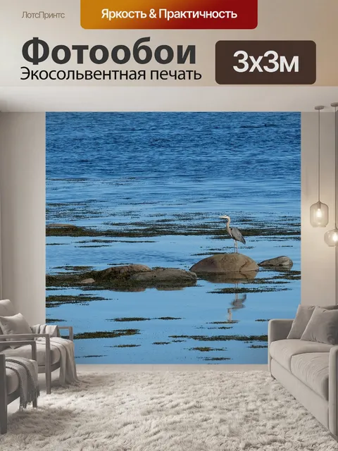 Фотообои Птица