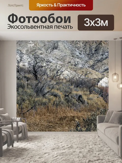 Фотообои Сельский Пешеходные маршруты