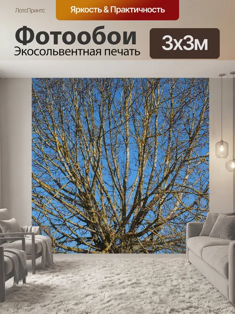 Фотообои Дерево