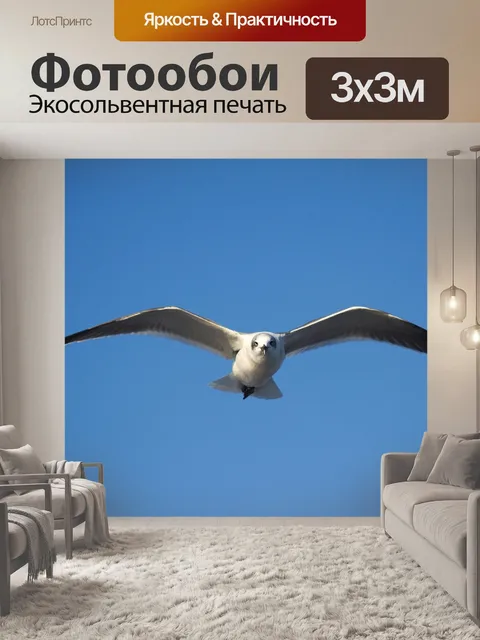 Фотообои Птица