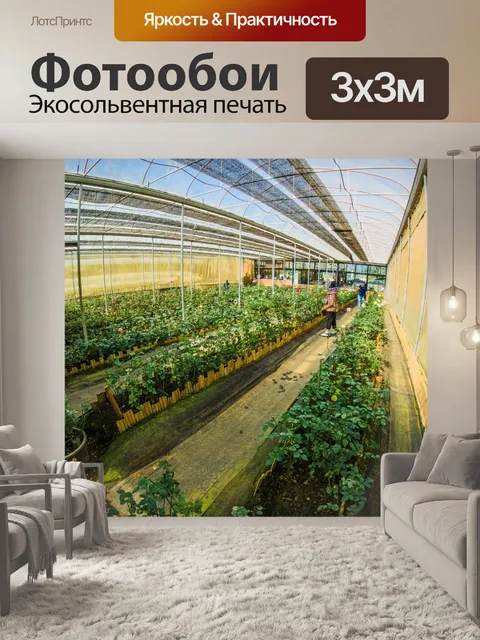 Фотообои Дои Анг Кханг, Чианг Май, Таиланд