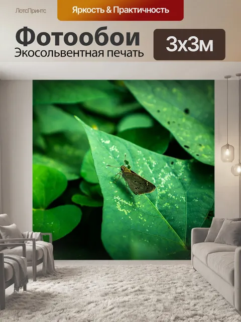 Фотообои Насекомое