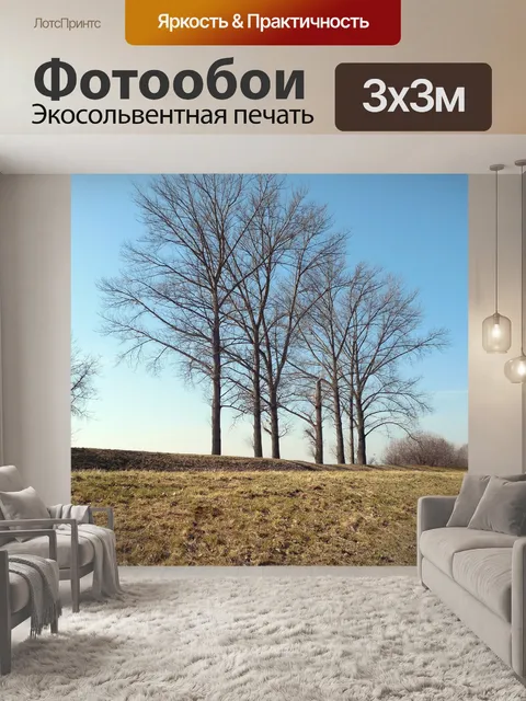 Фотообои Деревья