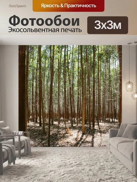 Фотообои Эвкалиптовый лес