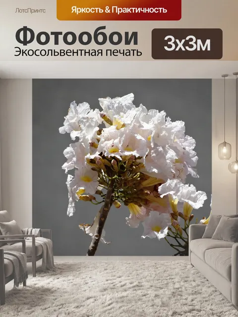 Фотообои Белый цветок