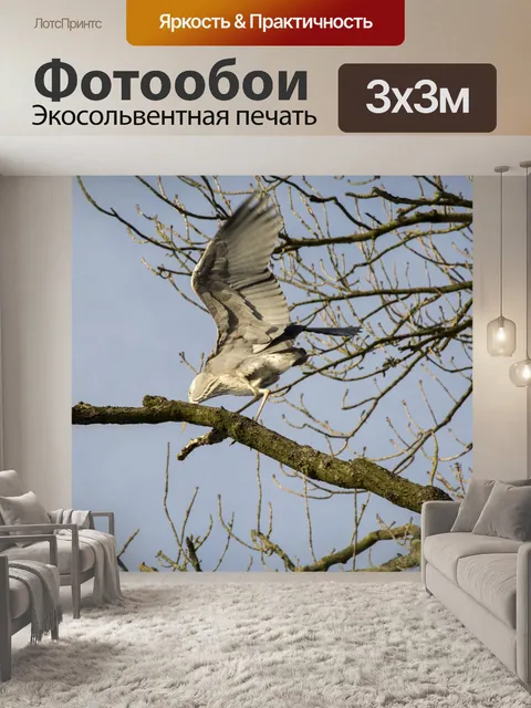 Фотообои Большая голубая цапля