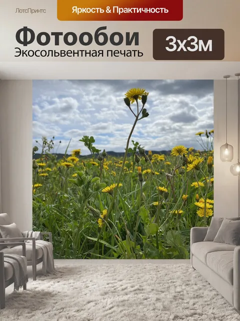 Фотообои Цветы