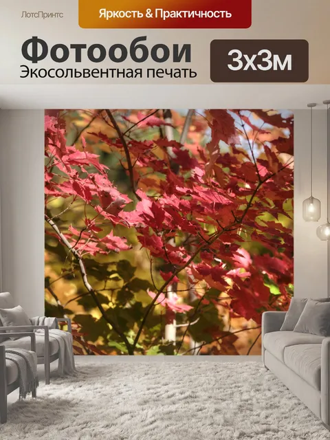 Фотообои Осенняя листва