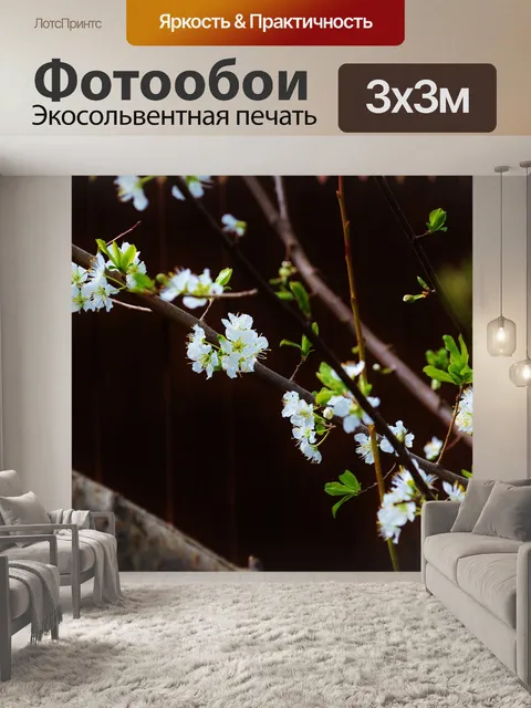 Фотообои Цветы