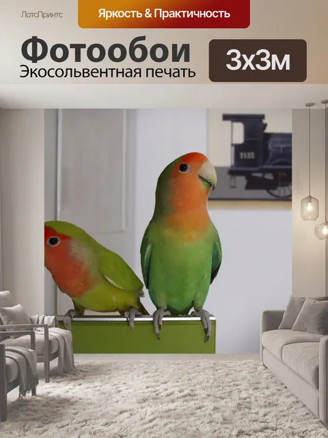 Фотообои Попугай