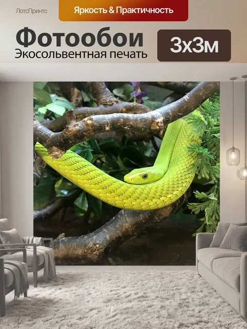 Фотообои Линия
