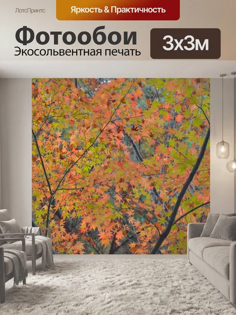 Фотообои Клен