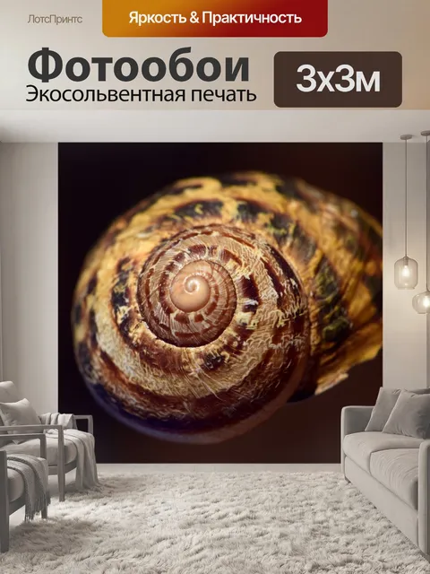 Фотообои Оболочка