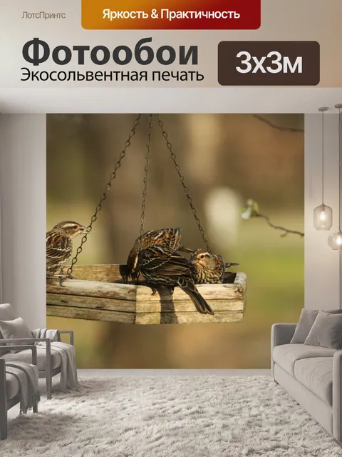 Фотообои Женский Дом Финч Завтрак