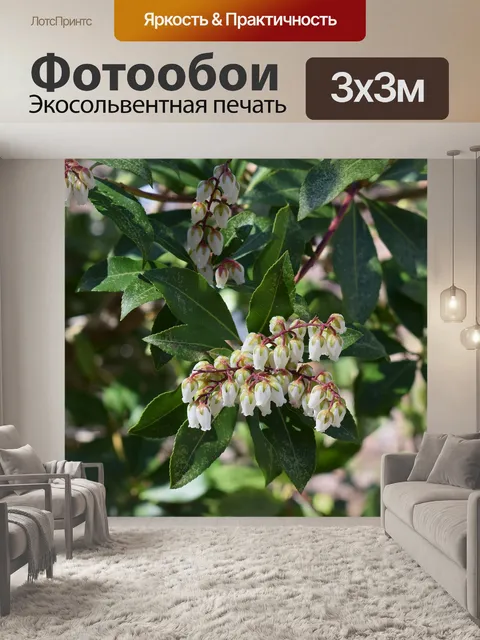 Фотообои Andromeda цветы