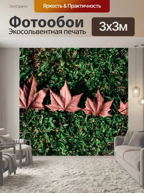 Фотообои Падение
