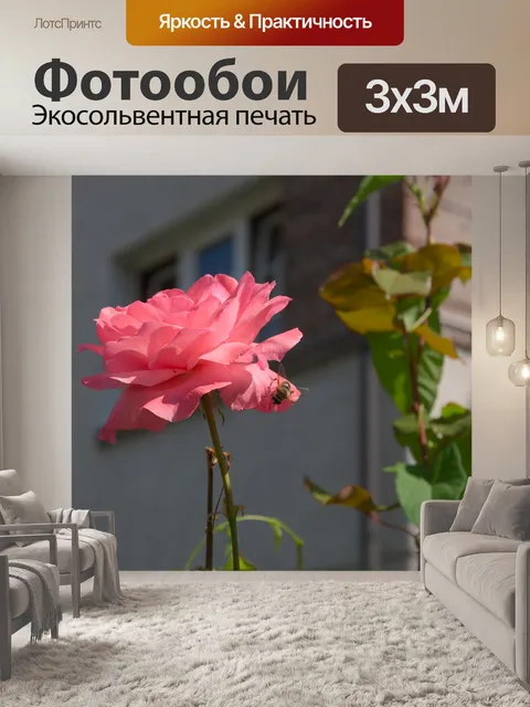 Фотообои Роза
