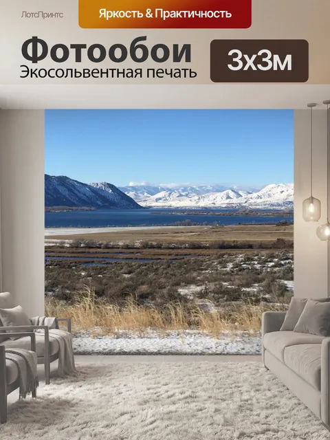 Фотообои Зима