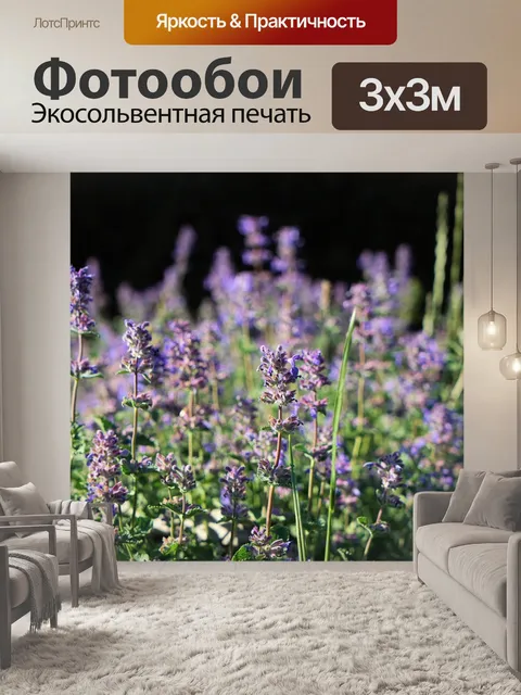 Фотообои Лаванда