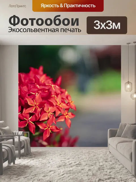 Фотообои Джунгли герань