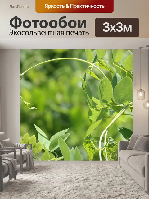 Фотообои цветок шипы