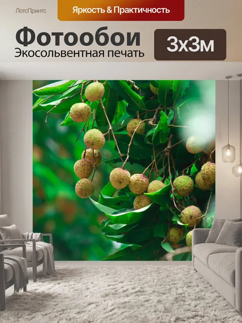 Фотообои Незрелый