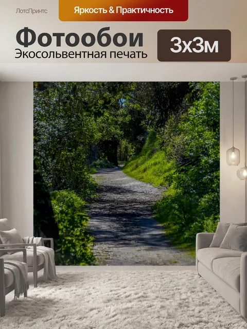 Фотообои Зеленая тропа в лесу