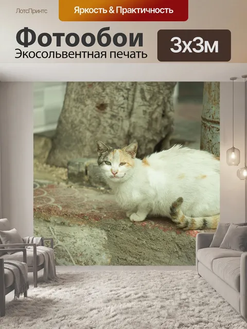 Фотообои Кошка