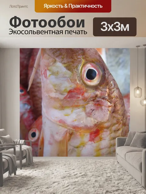 Фотообои Рыбы