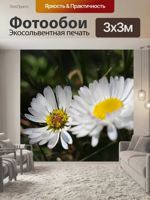 Фотообои Природа