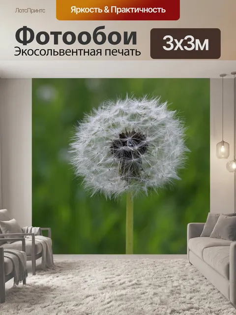 Фотообои Одуванчик