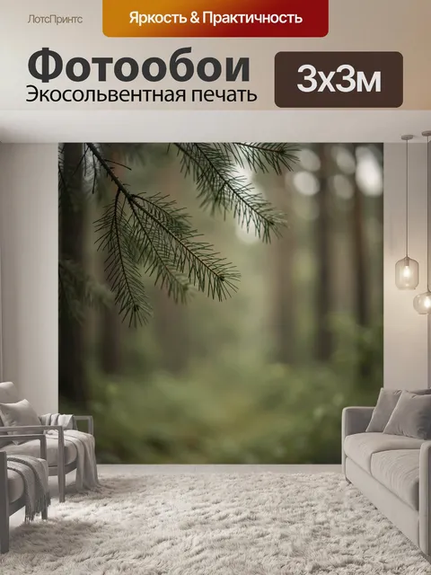 Фотообои Еловая ветка в лесу
