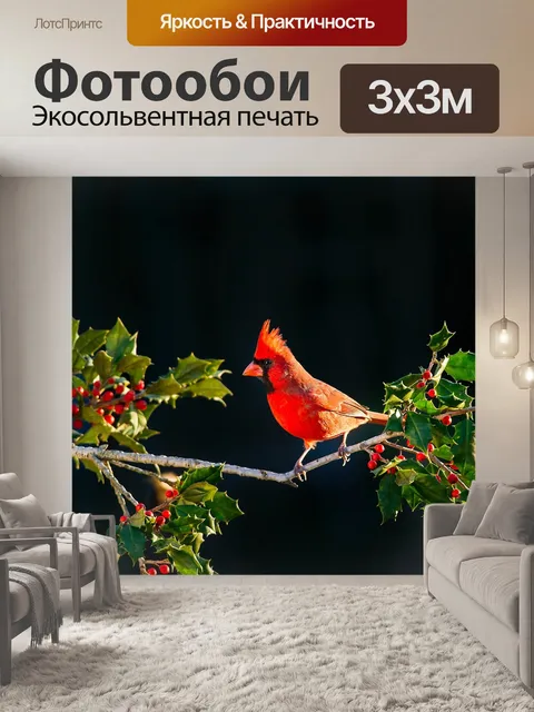 Фотообои Птица