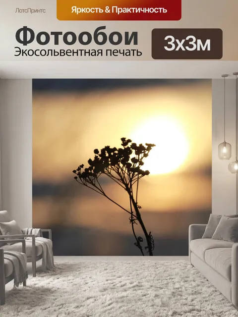 Фотообои Закат