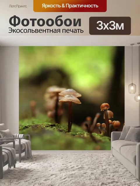 Фотообои Грибы мох лес ствол дерева