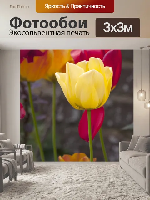 Фотообои Тюльпаны