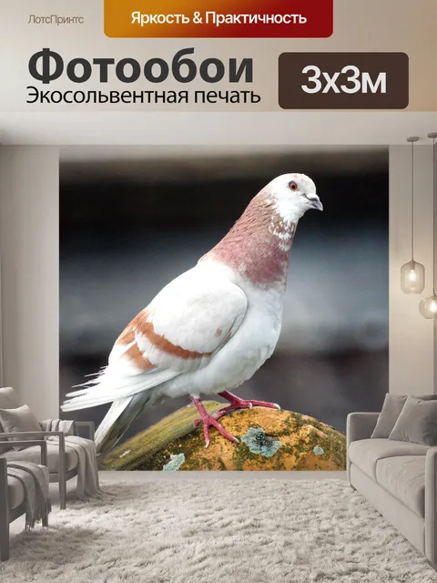 Фотообои Природа
